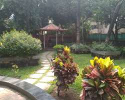 It is a peaceful place for the students and joggers. Also, senior citizens love to spend evening here at a quite beautiful place remembering their old